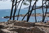 DSC01278.JPG